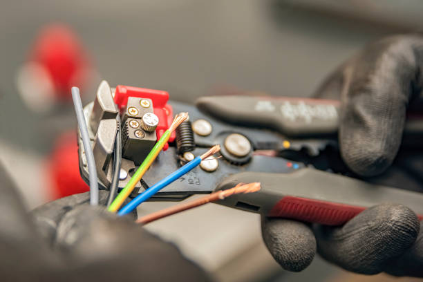 Best Electric Panel Repair  in Roosevelt, NY